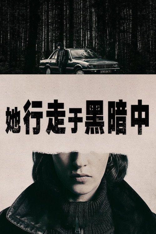 她行走于黑暗中 封面