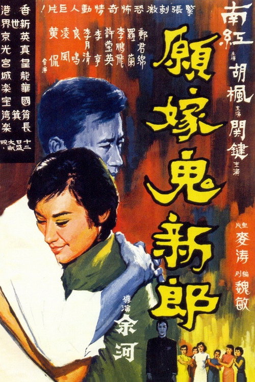 愿嫁鬼新郎 封面