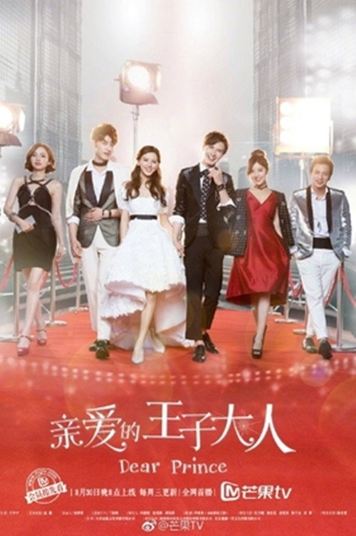 亲爱的王子大人 封面