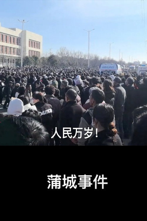 蒲城事件 封面