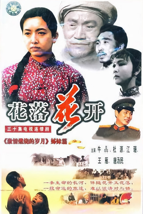花落花开 封面