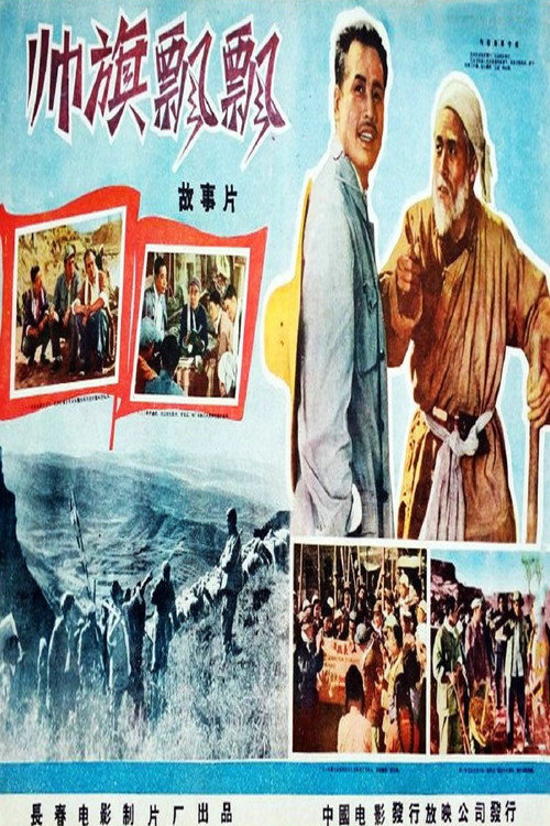 帅旗飘飘 封面