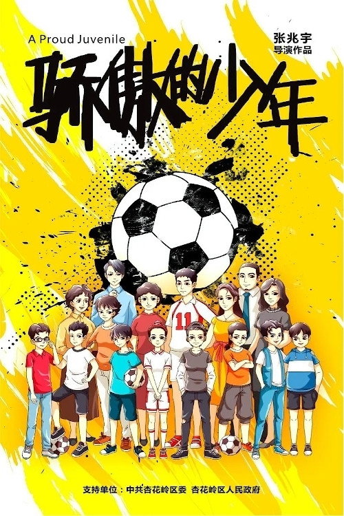 骄傲的少年 封面
