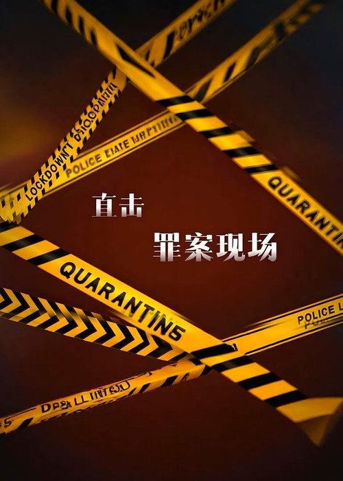 直击罪案现场 封面