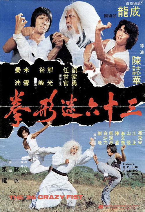 三十六迷形拳 封面