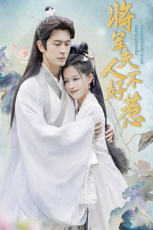 将军夫人不好惹 封面
