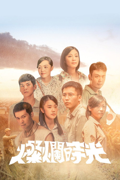 灿烂时光 封面