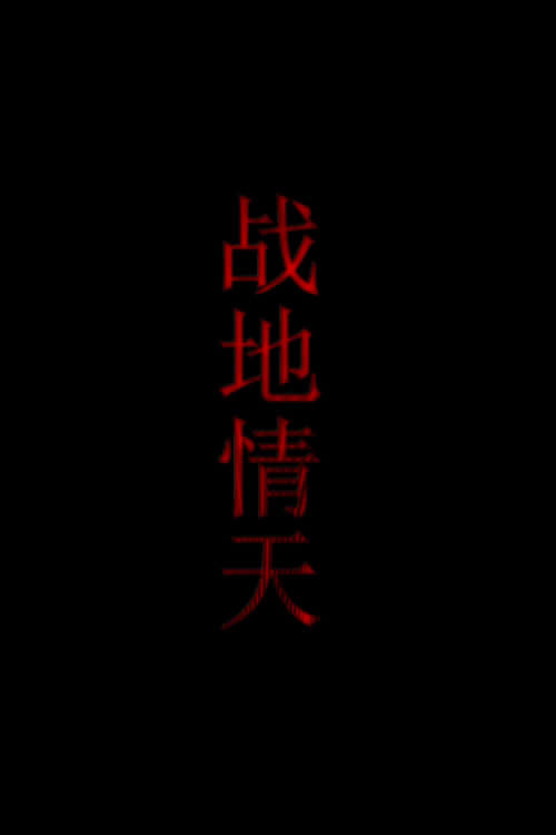 战地情天 封面