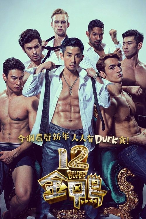 12金鸭 封面
