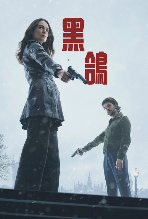 黑鸽 封面
