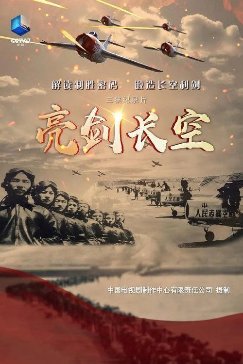 亮剑长空 封面