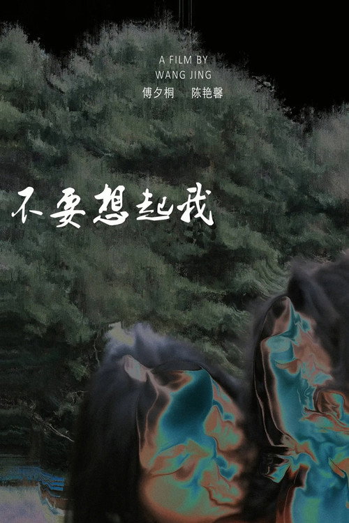不要想起我 封面