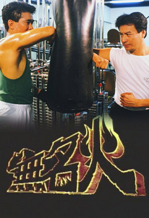 无名火 封面