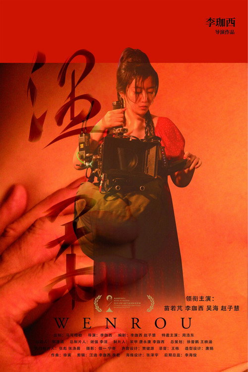 温柔 封面