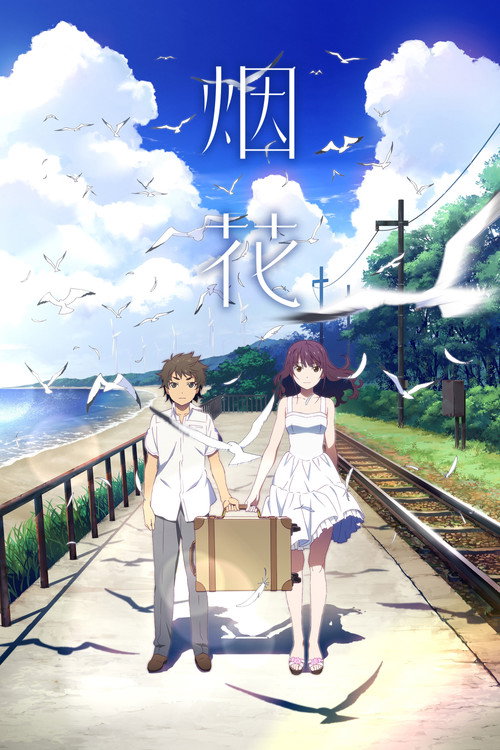 烟花 封面