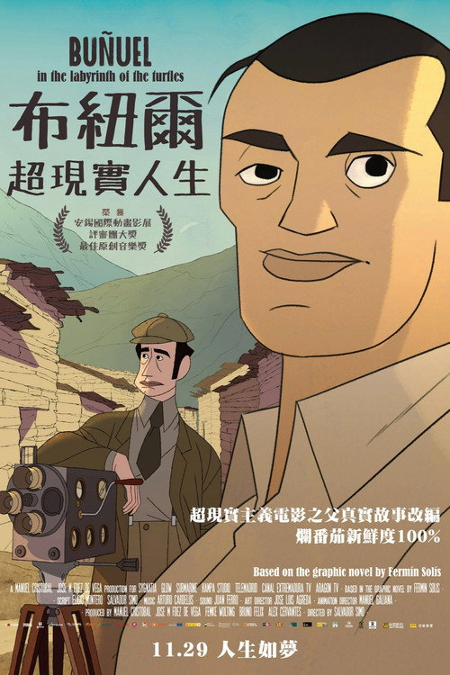 布努埃尔之神龟迷宫 封面