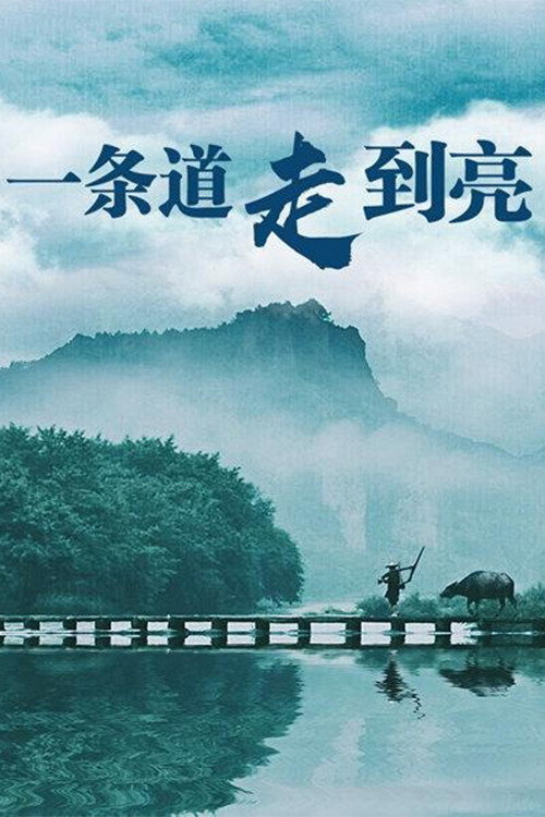 一条道走到亮 封面