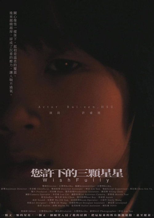 您許下的三顆星星 封面