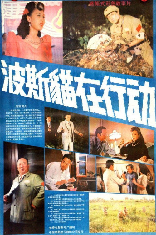 波斯猫在行动 封面