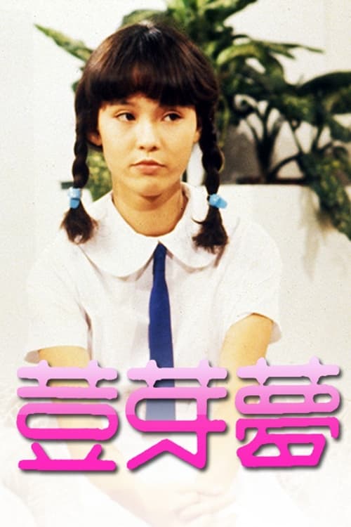 豆芽梦 封面