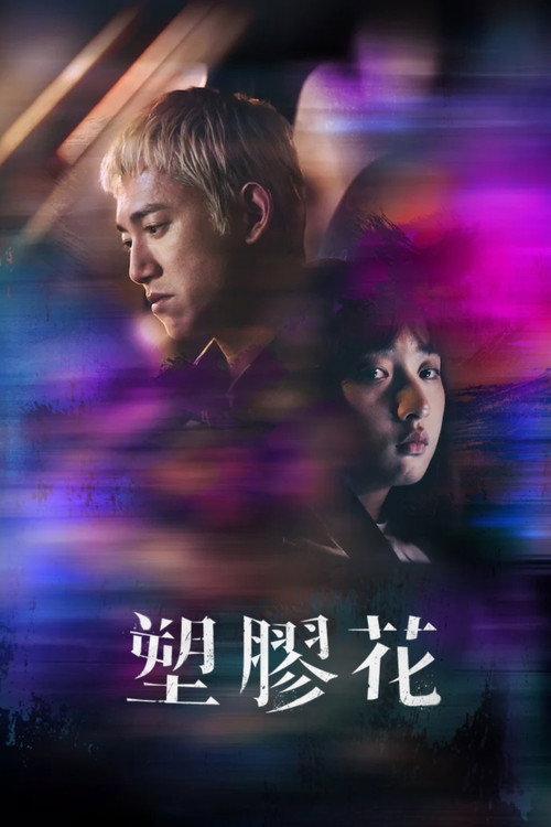塑胶花 封面