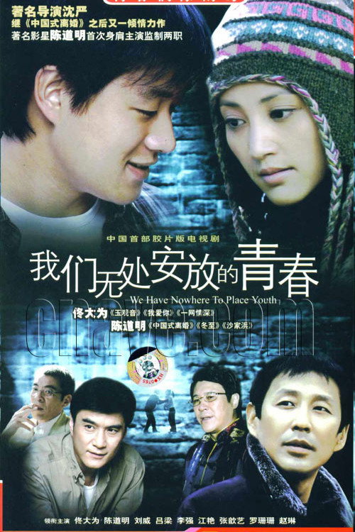 我们无处安放的青春 封面