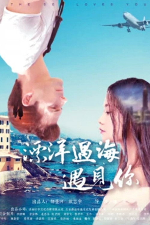漂洋过海遇见你 封面