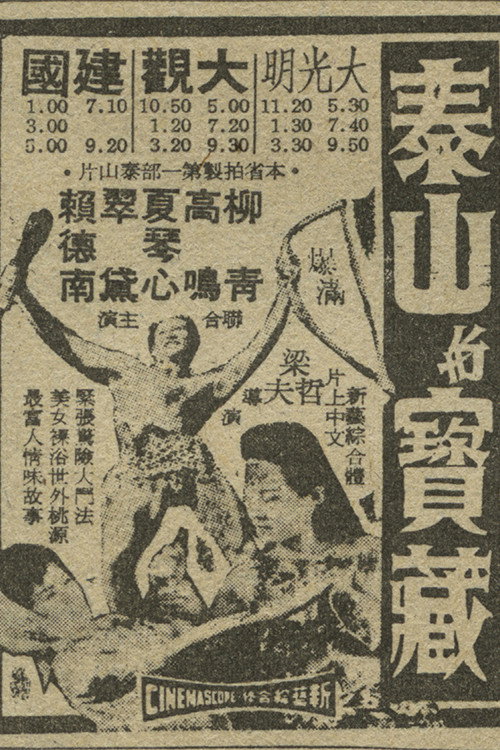 泰山宝藏 封面
