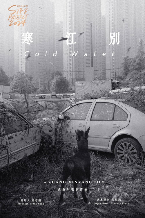 伤寒杂病论 封面