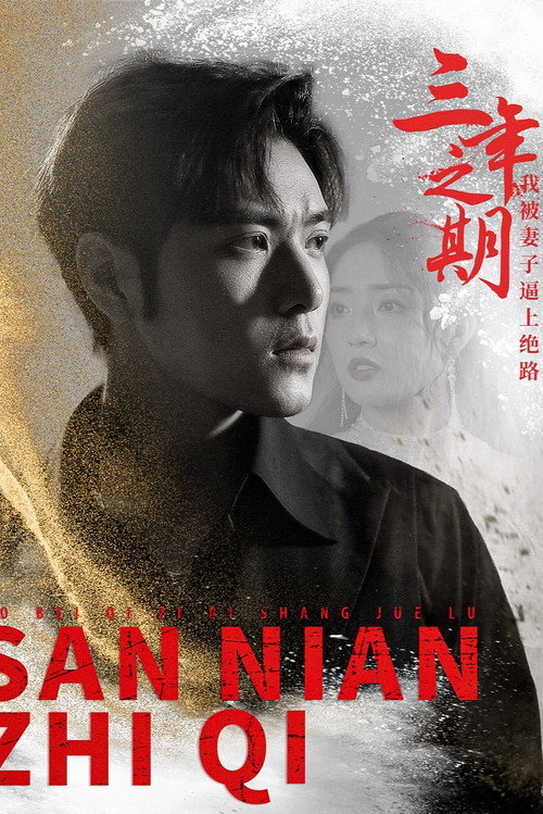 三年之期我被妻子逼上绝路 封面