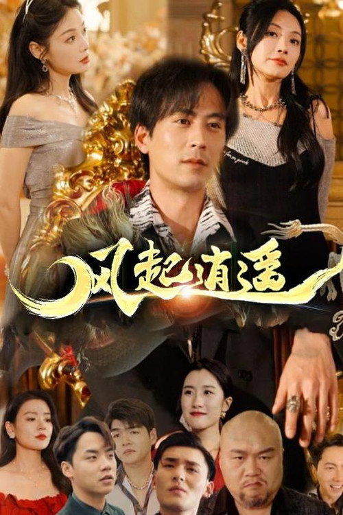 风起逍遥 封面