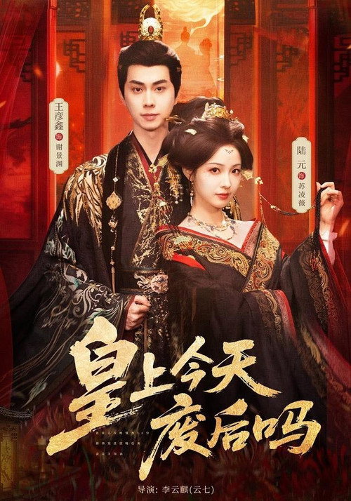 皇上今天废后吗 封面