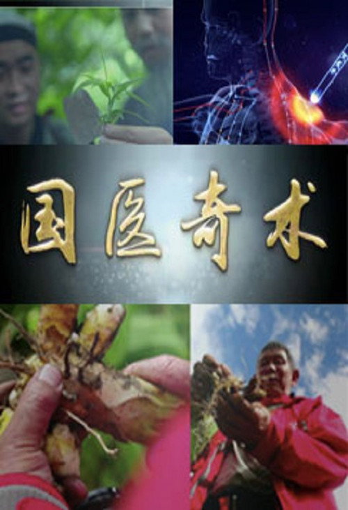 国医奇术 封面
