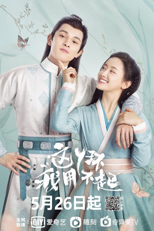 这丫环我用不起 封面