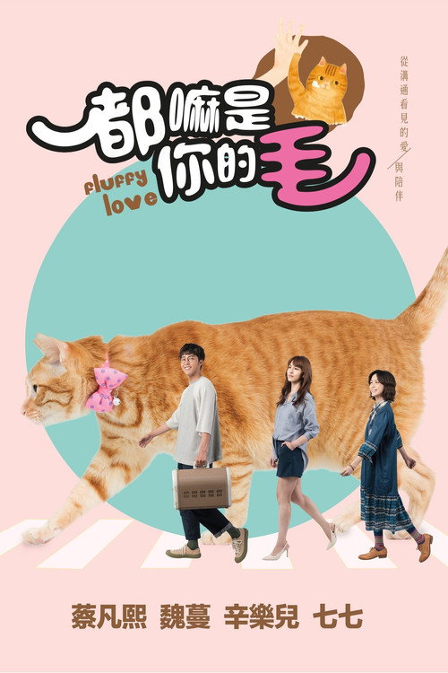 都嘛是你的毛 封面
