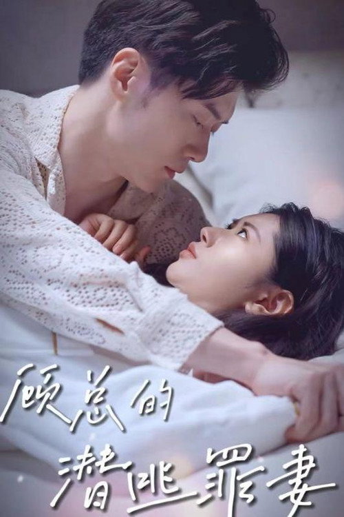 顾总的潜逃罪妻 封面
