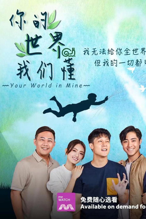 你的世界我们懂 封面