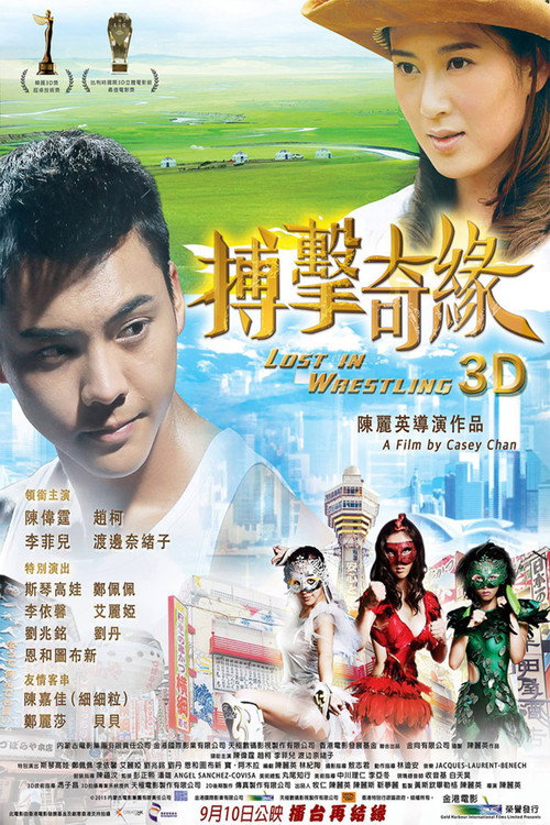 搏击迷城 封面