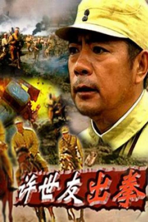 许世友出拳 封面