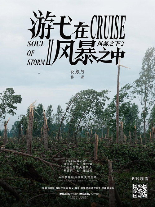 游弋在风暴之中 封面