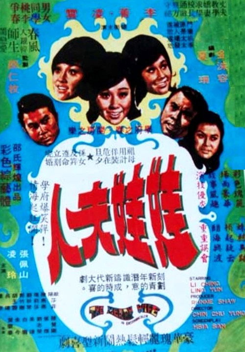 娃娃夫人 封面