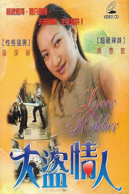 大盗情人 封面