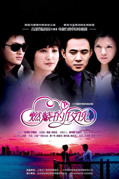 燃烧的玫瑰 封面