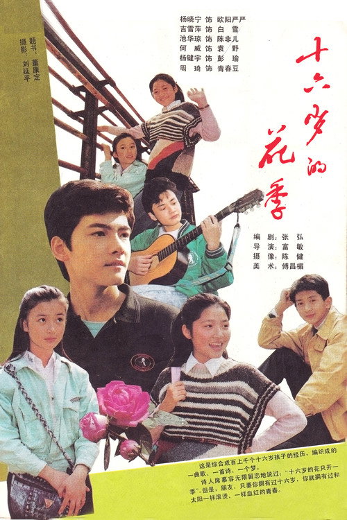 十六岁的花季 封面