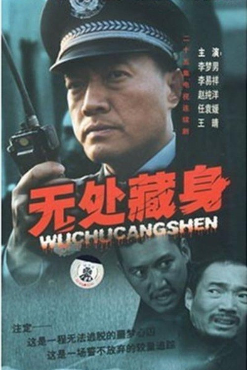 无处藏身 封面