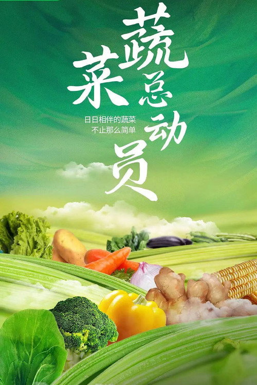 蔬菜总动员 封面