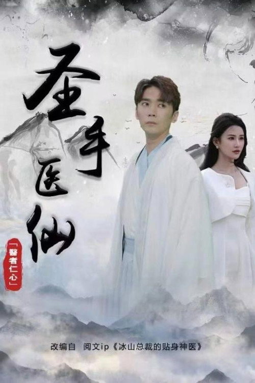 圣手医仙 封面