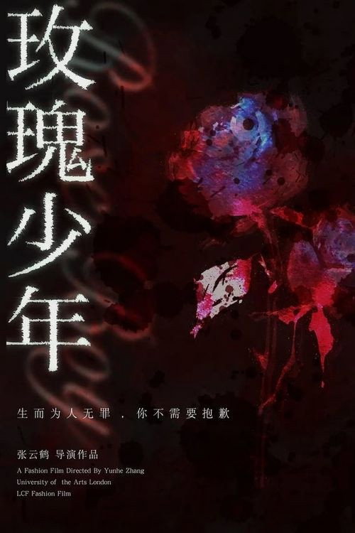 玫瑰少年 封面