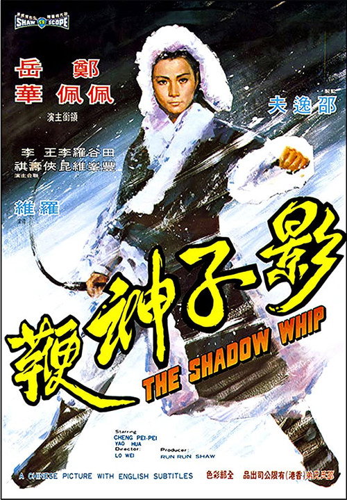 影子神鞭 封面