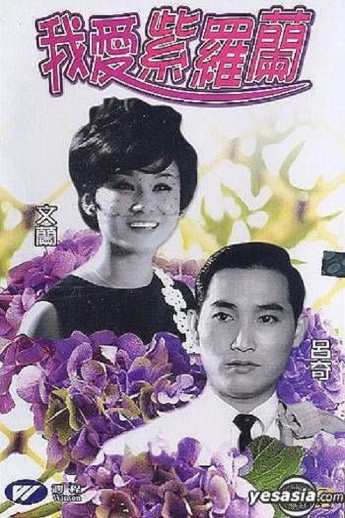 我愛紫羅蘭 封面